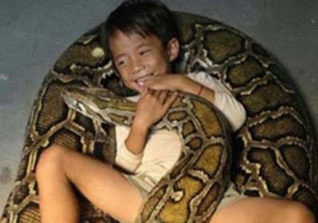 Son 4000 sene içerisinde herhangi yeni hayvan evcilleştirilmemiştir.