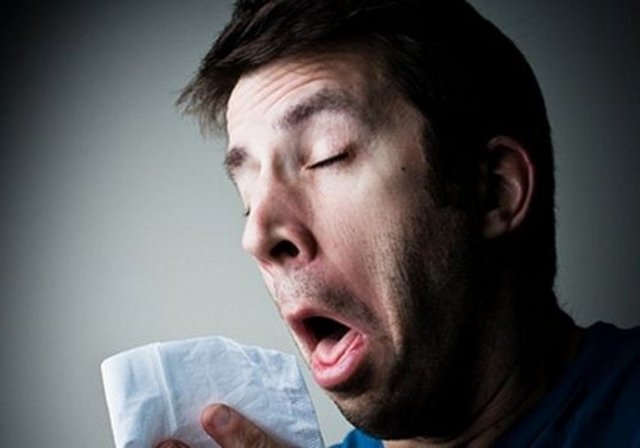 Hapşırdığınız zaman, kalbiniz de dâhil olmak üzere bütün vücut fonksiyonlarınız bir an için durur.