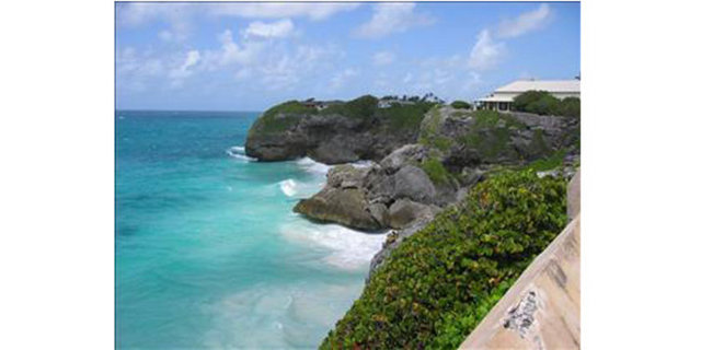 Kadının atının ağzından korkudan köpükler gelmeye başladı ve sonradan veterinerde tedavi görmek zorunda kaldı.