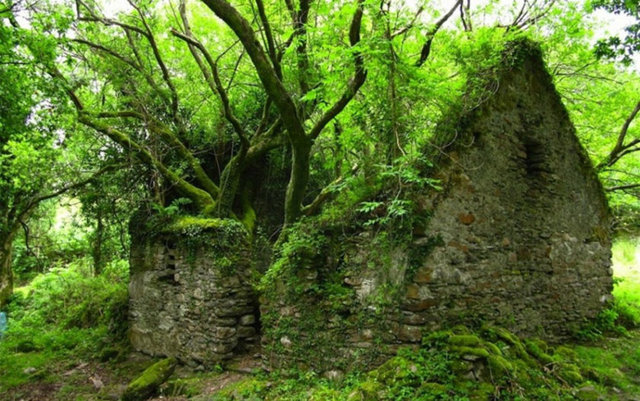 8. İrlanda'daki Sneem ve Kenmare arasındaki Kerryway yürüyüş yolu -  -