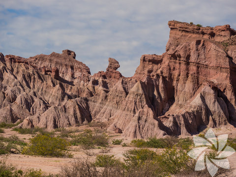 Cafayate, Salta