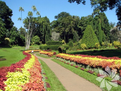 Kraliyet Botanik Bahçeleri