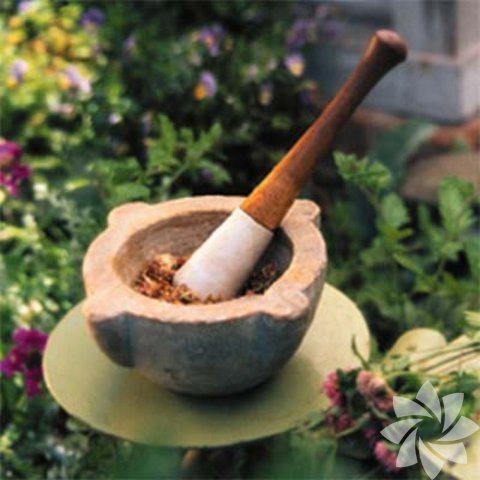 Her hasta olduğunuzda ilaçlara sarılmayın. Bitkilerle tedaviyi keşfedin.