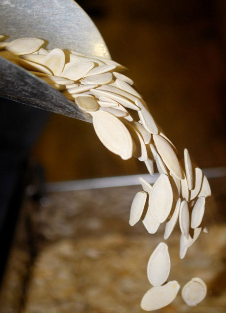 Çerezler: Ayçekirdeği, kabak çekirdeği, hindistancevizi.