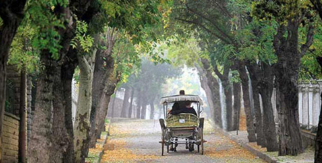 Adalarda gezmenin zamanı -  - İstanbul'da gezilip gürülmesi gerekli yerler listesinin başında mutlaka Adalar olmalı. Özellikle de Büyükada. Yaz, adalara gitmek için en uygun mevsim. -