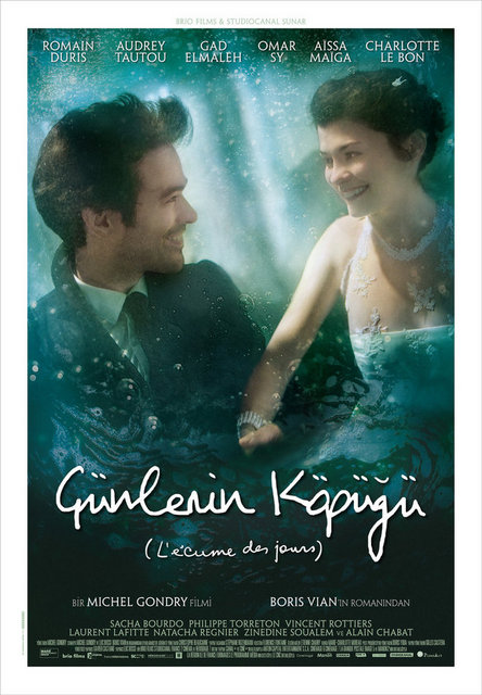 6-Günlerin Köpüğü (L'écume des Jours / Mood Indigo) (2013): Michel Gondry'nin "Rüya Bilmecesi" ile yüklendiği serbestliği "Brazil"in stop-motion animasyon parçalarıyla sarılmış haline çeviren, gerçeküstücü bir eser