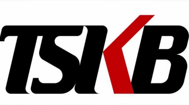 SINAİ KALKINMA
