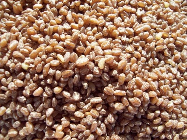 E vitamini, selenyum, fenolik asit ve kolesterol düzeylerini düşüren flavonoidlerce zengin olan esmer buğday ramazanda salatalara, ekmeklere eklenerek hem iştah kontrolünün sağlanması hem de kolesterol seviyelerinin düşürülmesi için kullanılabilir.