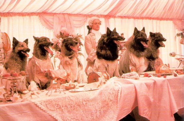 1-Kurtlar Sofrası (The Company of Wolves) (1984) Sinema tarihinin en özgün kurt adam filmi, masalsı ve antolojik olma özelliğini gerçek bir şiirsel ve görsel şölenle taçlandırır. 'Kırmızı Başlıklı Kız'ın serbest uyarlamasını 'kurtlu korku hikayeleri' ile sararak da büyüme öyküsünü anlamlı kılar.