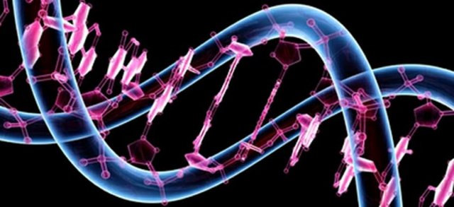 Araştırma 6 bin gönüllü ikizin kan örnekleri incelenerek yapıldı.