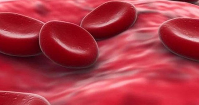 Tıpta devrim yaratacak bir gelişme olarak değerlendirilen, doğar doğmaz uygulanması öngörülen testin, yaşlılıkla gelen kemik, kalp gibi hastalıklara karşı yeni tedavi yöntemlerinin önünü açacağı belirtildi.