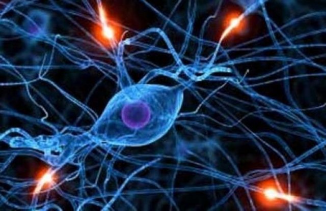 Bunların arasındaki "C-glyTrp" adlı metabolitin en önemli anahtarı oluşturduğu belirtildi.