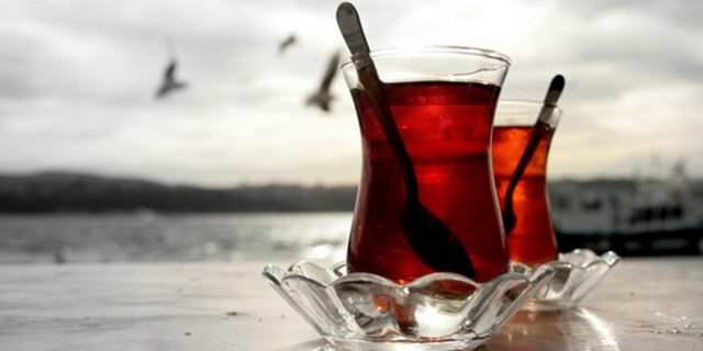 Oysa İpek Yolu' nun  Türkmenistan' da son bulduğu anlatılmakta tarih kitaplarında. Tarihçi, Thierry Zarcone araştırmalarını topladığı kitabında; İpek Yolu'nun devamı olarak kabul edilen yol bir farklı isim alsaydı, Çay Yolu bunlardan biri olurdu, diyor.