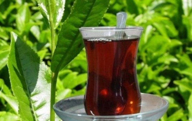 Çay damağınızda sertlik ve acılık bırakıyorsa, demlikte ki çay miktarı fazla olabilir. Demliğinize düşündüğünüzden daha az konulan çay yeterli olacaktır. En kolay ölçü için ise demlik poşetleri tercih edin, sizi yanıltmazlar.