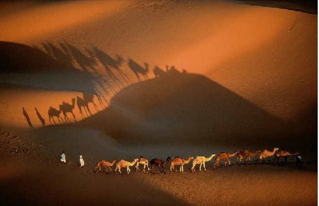 Muhammed Mekke'ye girer girmez genel af ilan edildiğini bildirdi ve Ebu Süfyan'a bildirdiği şekilde, kimseye dokunulmayacağını ilan etti.
