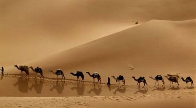 Mekke ordusu da kesin bir üstünlük elde edemeyip geri döndü.