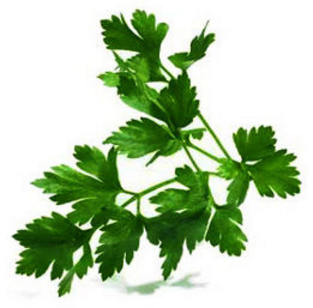 Taze maydanoz ve naneyi ağızda çiğneyiniz.