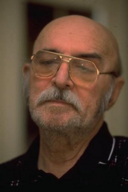 Lise öğrenimini yarıda bırakarak iki arkadaşı ile birlikte İstanbul'a gelen Serengil, 1953'te 'Oğlum Edvard' adlı oyunla sanat hayatına başladı. Bir dönem ressamlık da yapan Öztürk Serengil, 3. Kat Cinayeti filmiyle sinema oyunculuğuna başladı. Başklarda 'kötü adam' tiplemesi ile izleyici karşısına çıkan Serengil, bir süre sonra argolu komedilerin değişmez oyuncusu haline geldi.