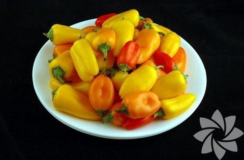 740 gram biber = 200 kalori