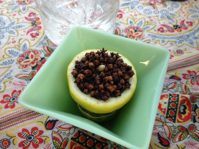 Sivrisinekler limon ve karanfil esansının kokusunu sevmedikleri için masanıza yaklaşamayacaklardır.