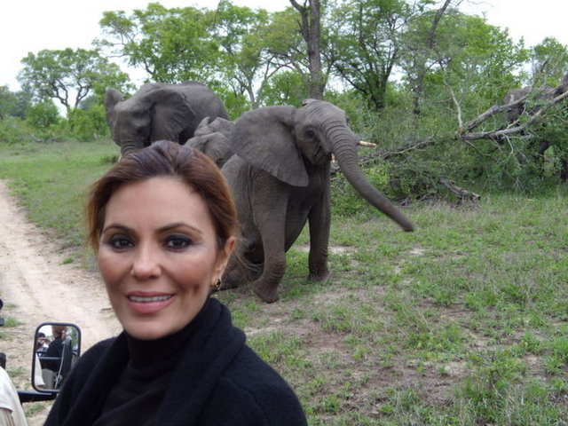 FERYAL GÜLMAN 