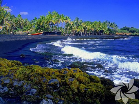 Punalu'u plajı, Hawaii, Amerika Birleşik Devletleri