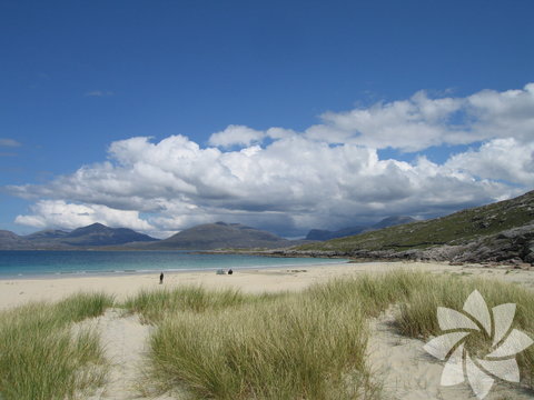 Luskentyre plajı, İskoçya