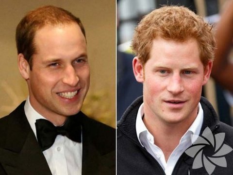 Prince William - Prince Harry