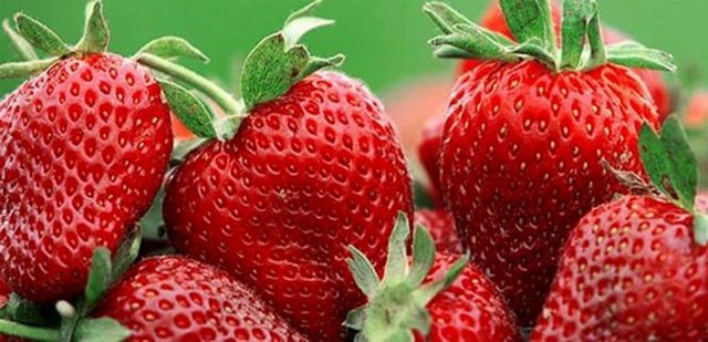 Çilek, kiraz, vişne: Bunlar antosiyanin zenginidir.