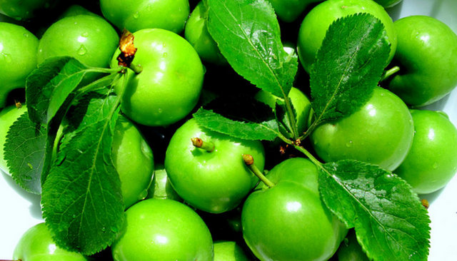 Erik: Yüksek antioksidan kapasitesi yanında detoks yapıcı gücüyle de önemli bir anti-aging besindir.