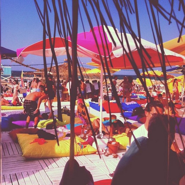 Sezen Aksu'nun oğlu Mithatcan Özer şezlongda... - Hande Yener yastıklarda güneşleniyor,  - Mazhar Alanson bile dalgaların arasından belirebiliyor.