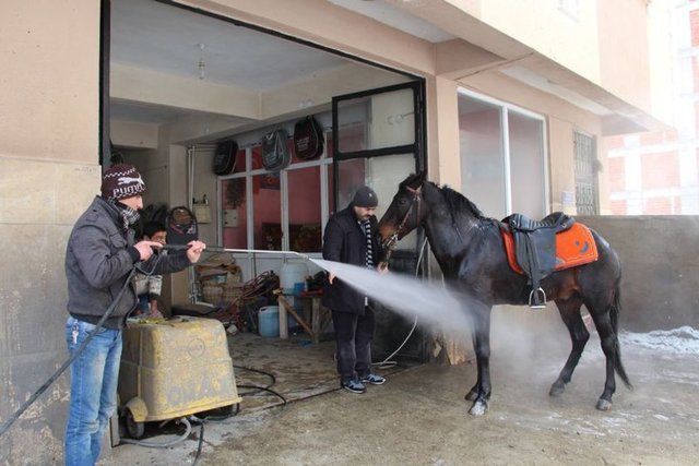 Ergunhan Musaoğlu şehir merkezine getirdiği oto yıkama merkezine getirerek soğuk suyla atın ayaklarını yıkattı. Öte yandan 7 yaşındaki Karador isimli atın soğuk havadan dolayı çene altındaki tüyleri nefes alışverişinden ötürü buz tutarken vücuduna sıkılan soğuk sudan hiçte rahatsız olmadığı gözlendi.