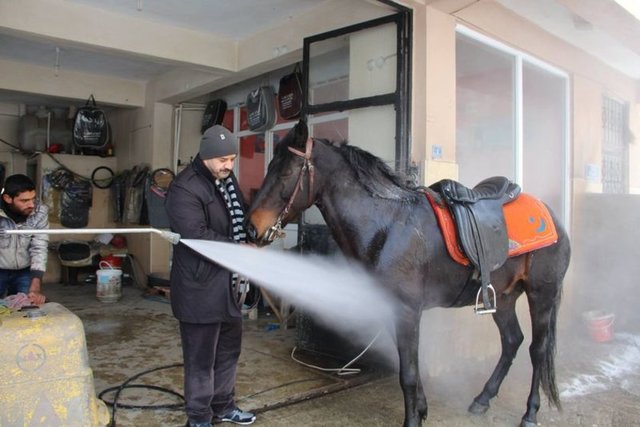 Erzurum Oltu'da yıllardır at biniciliği yapan Ergunhan Musaoğlu'nun karda bindiği atın ayakları hamlayınca ilginç bir yöntem uyguladı. 