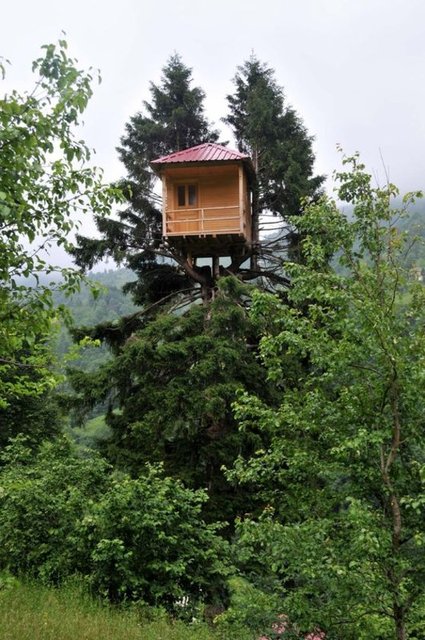 BALKONA DEĞİL BOŞLUĞA AÇILAN KAPI  Rize'nin Hemşin İlçesi'ne bağlı Çamlıtepe Köyü'nde de Sezai Yüce, yaklaşık 35 metrelik bir çam ağacının 30. metresine balkonu da olan bir ağaç ev yaptı.