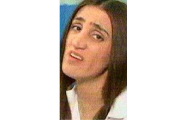 Özden Öğrük'ün bant karikatüründen uyarlanan dizi 1996 ile 1999 yılları arasında ekrana gelmişti. Yonca Evcimik, Çiçek Dilligil ve Cenk Torun da Sonay Aydın'la birlikte dizide rol alıyordu.