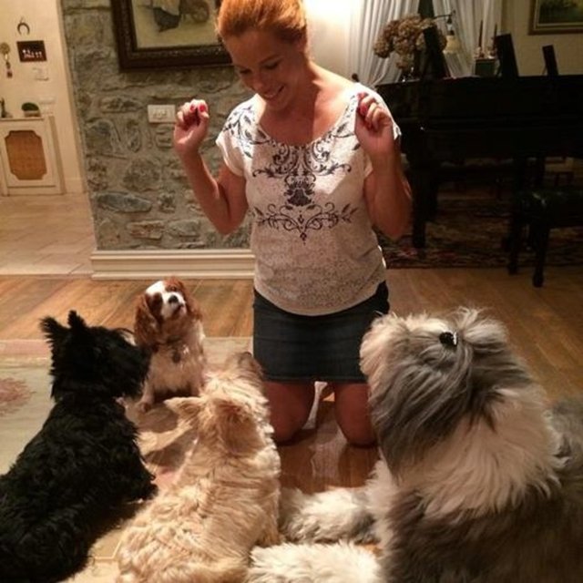 2006'da hala faaliyette olan Vetelite Veteriner Kliniği'ni kuran Çağlar Kondu Türkiye'nin önde gelen veteriner hekimleri arasında gösterilmekte.