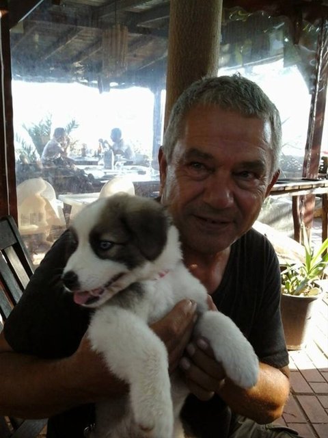 Doğal hayatla ilgilenen Sertan Acar, aynı zamanda asıl mesleği olan diş hekimliğine de yapmakta. (Vatan)