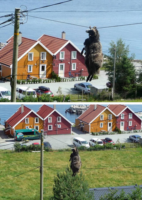 Norveç kıyılarındaki Helgoysund köyündeki talihsiz keçi, bu görüntülerden sonra Rambo olarak anılmaya başladı.
