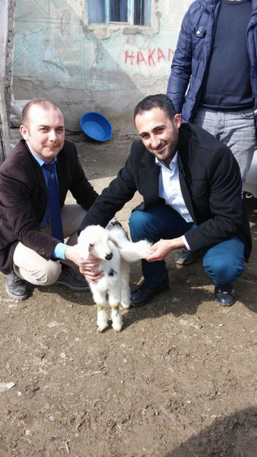 Çevre ilçe ve köylerden onlarca meraklı vatandaşın tek kanatlı kuzuyu görmek için geldiğini belirten Abdulbaki Durmaz, kuzusuna ilgiden memnun.