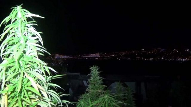 Narkotik Suçlarla Mücadele Şube Müdürlüğü ekipleri, piyasaya uyuşturucu temin eden torbacılara yönelik çalışma başlattı. Yapılan 11 aylık planlı çalışmanın ardından torbacılar ve bu kişilerle irtibatlı oldukları tespit edilen çok sayıda ünlü isim tespit edildi.