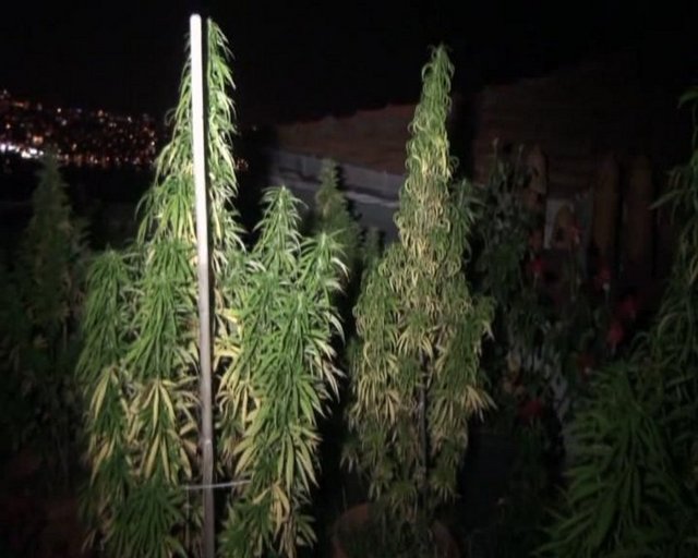 Gözaltına alınan zanlıların emniyetteki işlemeleri ise sürüyor.