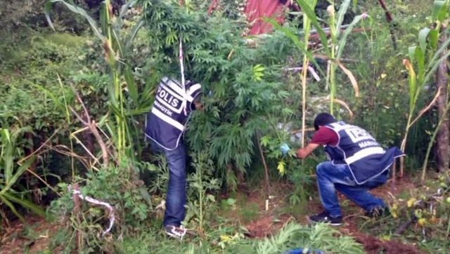 Bunun üzerine harekete geçen ekipler, aralarında Sarp Apak, İlker Aksum, Nehir Erdoğan, Kenan İmirzalıoğlu, Gökçe Özyol, Şahin Irmak, Mehmet Erdem'in de bulunduğu birçok ünlü isim gözaltına almıştı.