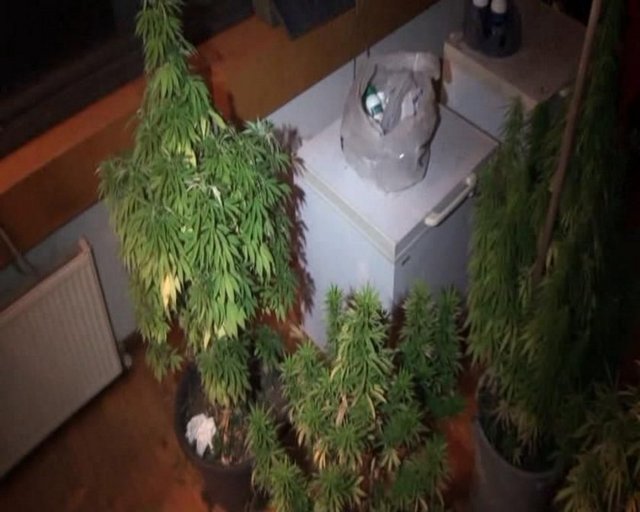 Ayrıca soruşturma kapsamında ünlü oyuncu Hakan Yılmaz'ın şoförü olan Ahmet S.'nin de ünlü isimlere uyuşturucu ve yer temini sağladığı, torbacılarla ünlü isimler arasında bağlantı kurduğu kaydedildi.