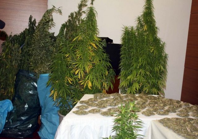 Soruşturmayı genişleten Narkotik ekipleri, operasyon kapsamında Engin Günaydın, Engin Altan Düzyatan, Orçun Koray Candemir ve Murat Eken'i de Çeşme'de gözaltına aldı. Yapılan operasyonda toplam 30'u ünlü isim olmak üzere toplam 49 kişi gözaltına alındı.