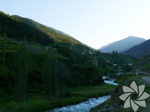 Olgunlar yaylası, Artvin