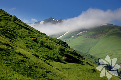 Anzer yaylası, Rize