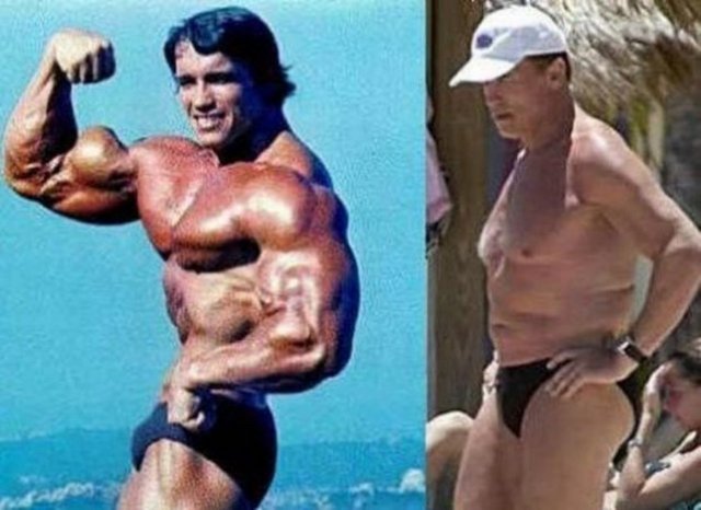 Arnold Schwarzenegger -