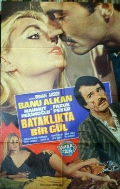 Kartal Maltepe Lisesinde başladığını öğrenimine lise 2.nci sınıfta ara verdi. Gençliğinde rüyalarını süsleyen mankenliğe 16 yaşında LCC kurslarına giderek başladı ve Aydan Adan-Füsun Özben Mankenlik Ajansı'nın kadrosuna girerek bazı reklam filmlerinde rol aldı.  -