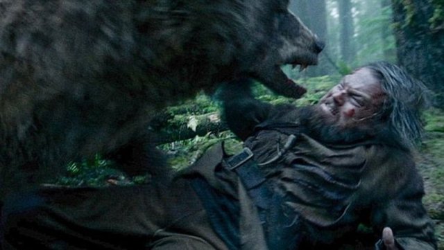 12 dalda Oscar adayı "Diriliş" (The Revenant) filminde oyuncu Leonardo DiCaprio'ya saldıran ayı aslında bir dublörün eseri. -   -   -  