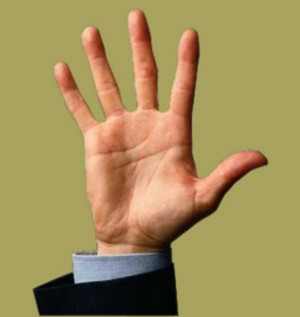 Bu tip eklem yerlerinde, örneğin parmaklarımızda, iki kemiğin birleştiği yerde bir bağlantı kapsülü vardır.